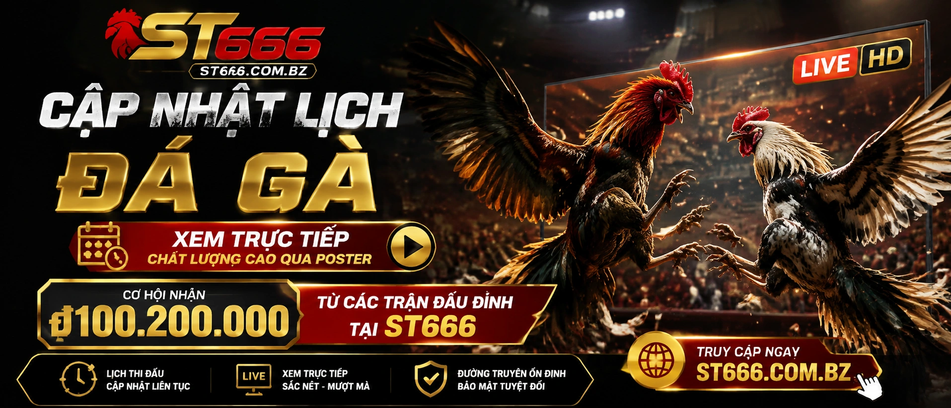 Đá Gà Thomo live streaming